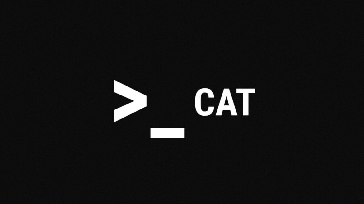 pcplanet_cat command-100