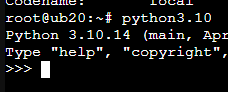 running python3.10 from the command line and displaying the shell