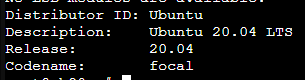 command line showing lsb_release of a ubuntu 20.04 machine